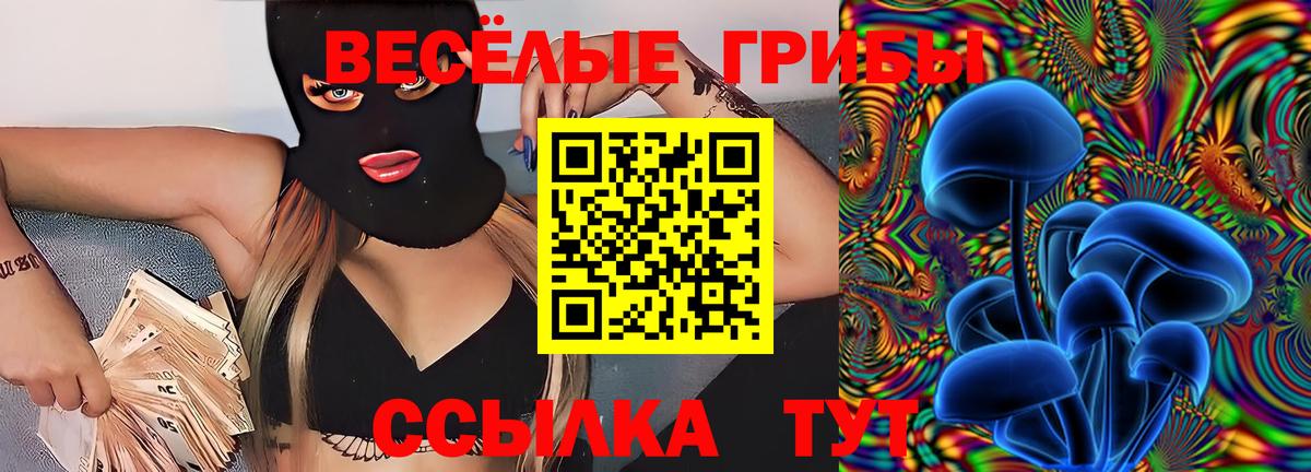 Галлюциногенные грибы GOLDEN TEACHER  Вход с VPN  Будённовск 