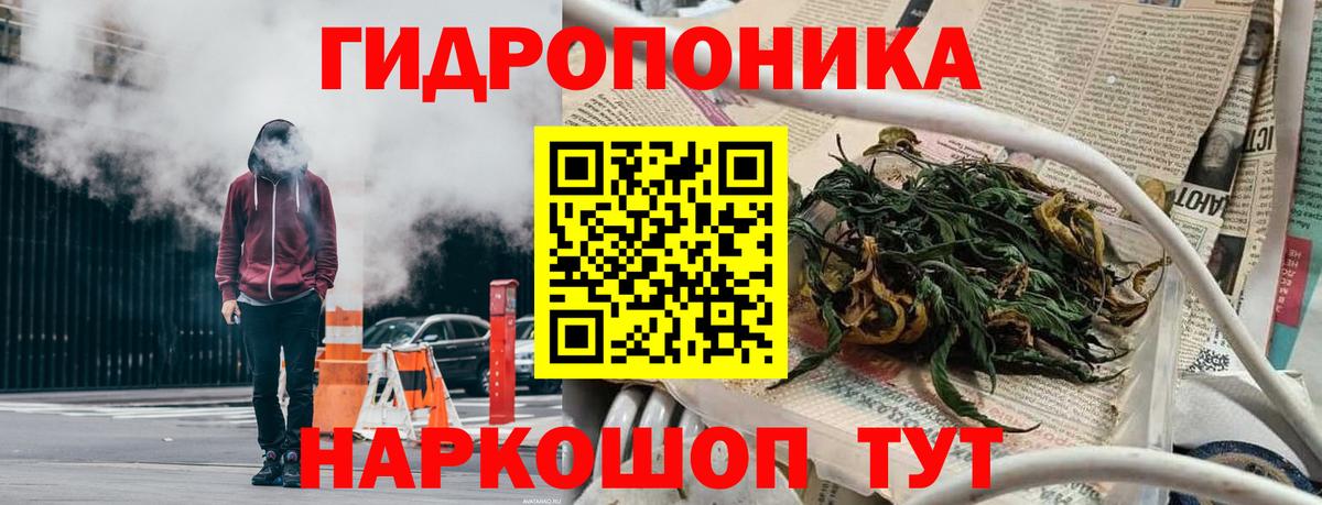 Бошки марихуана индика  Конопля марихуана  Вход с VPN  Канабис White Widow  Будённовск  Каннабис AK-47 